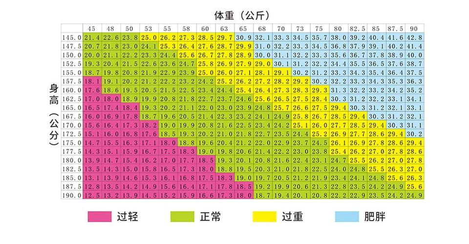 健康人体重指数