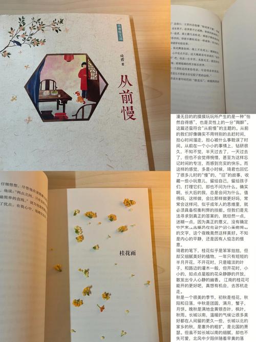 慢叙和等叙的文学作品是什么