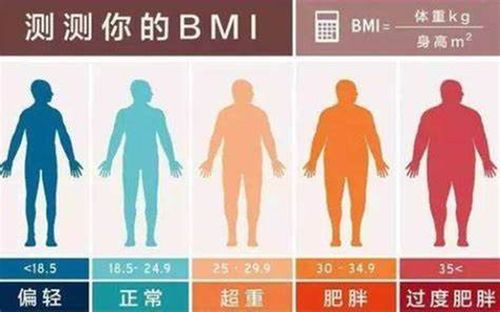 1.身体质量指数（BMI）