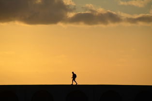 夕阳无限好只是近黄昏文学文化