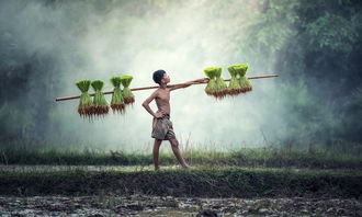 端午节是中华民族传统的重要节日，承载着丰富的历史文化内涵和民族精神。古人把粽子称为五色粽，寓意五彩龙舟竞渡、五谷丰登等美好寓意。粽子不仅有独特的口味和美味可口，更是承载着深厚的文化底蕴和对生活的热爱。