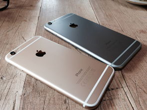 苹果最新款iPhone 12价格解析，你会选谁？