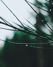 雨后的天儿