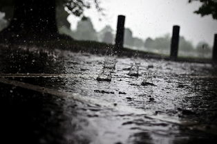 走进黄梅时节的雨文学文化之旅