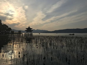 海上明月共潮生，探寻古典诗词中的自然与人文之美