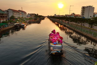 中国又一重大跨海通道，引领交通新篇章