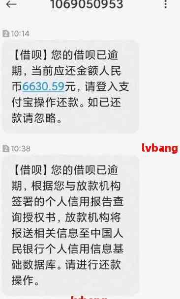 网贷高炮口子逾期群-网贷高炮口子逾期群众怎么办