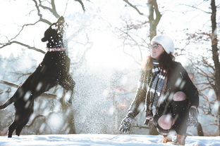 梅花傲雪，唐诗三百里的幽香——走进唐诗中的梅花世界