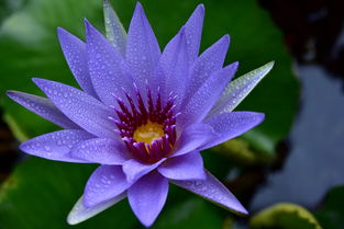 水花四溅，笑料百出！在西安游泳培训班中找寻浪漫夏日