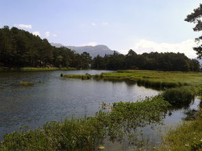 山东省济宁梁山县水泊北路10号