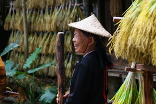 清明时节笑当头，祭祖还能这么玩？