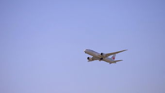 日本航空(Japan Airlines)现在提供一项服务，替乘客把行李送到他们的酒店，不过这项服务并非只是为了提供优质客户服务，它的主要目的是减轻东京拥挤不堪的公共运输系统的负担。