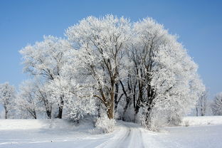 泡汤不必去日本，这些林海、树屋、无敌雪景的温泉秘境，其实就在你身边？