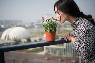 从碎花裙女孩到拒绝直播带货，坚守初心，保持自我